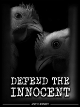 'Defend The Innocent' Unisex Pullover Hoodie