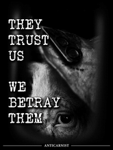 'They Trust Us, We Betray Them' Unisex Long Sleeve Tee